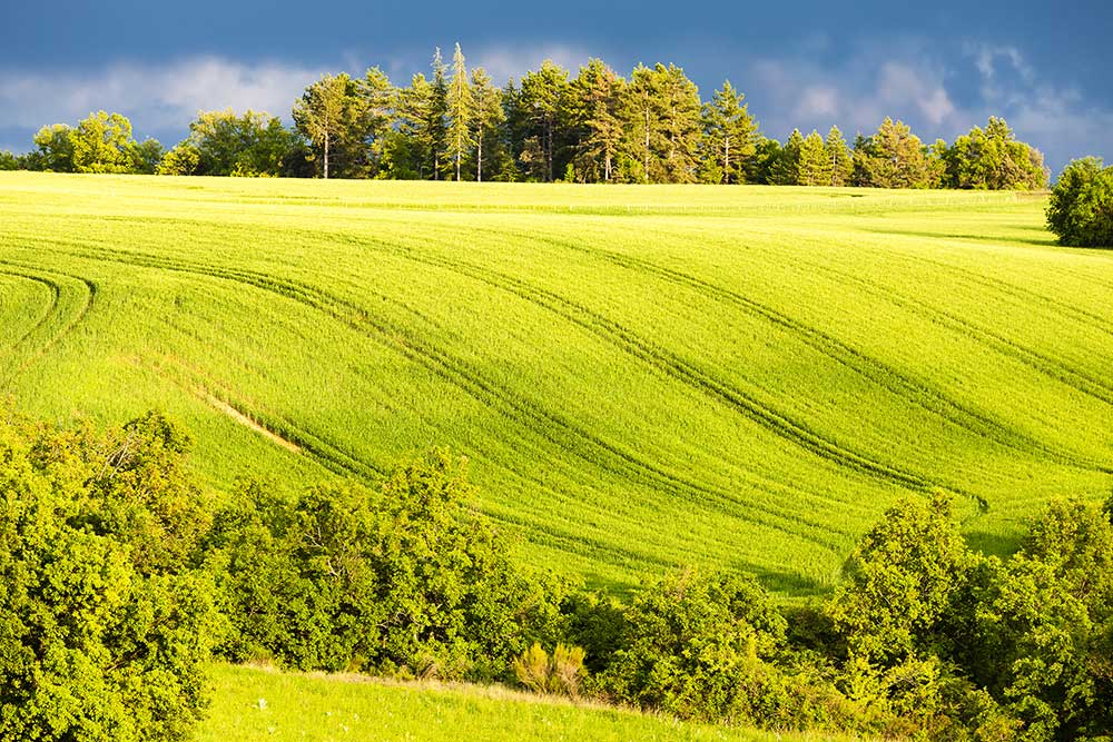 innovation agricole