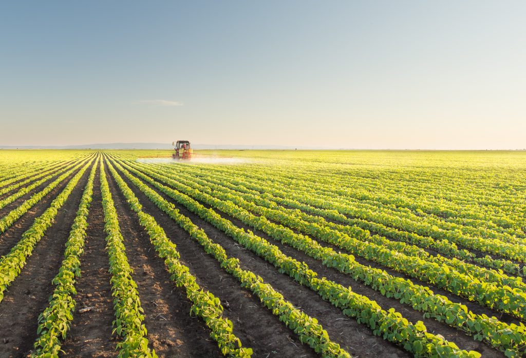 secteur-agriculture-tlgpro champ pour représenter le secteur de l'agriculture