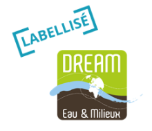 label-dream